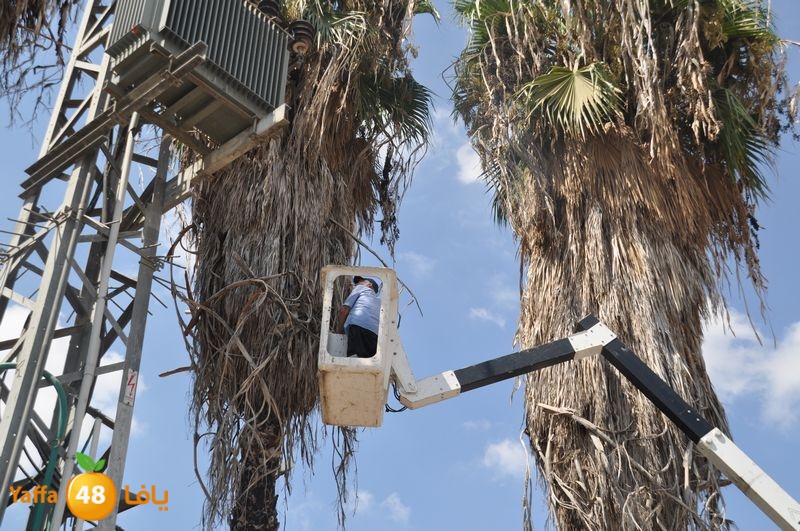 cat lud 910 (37).JPG